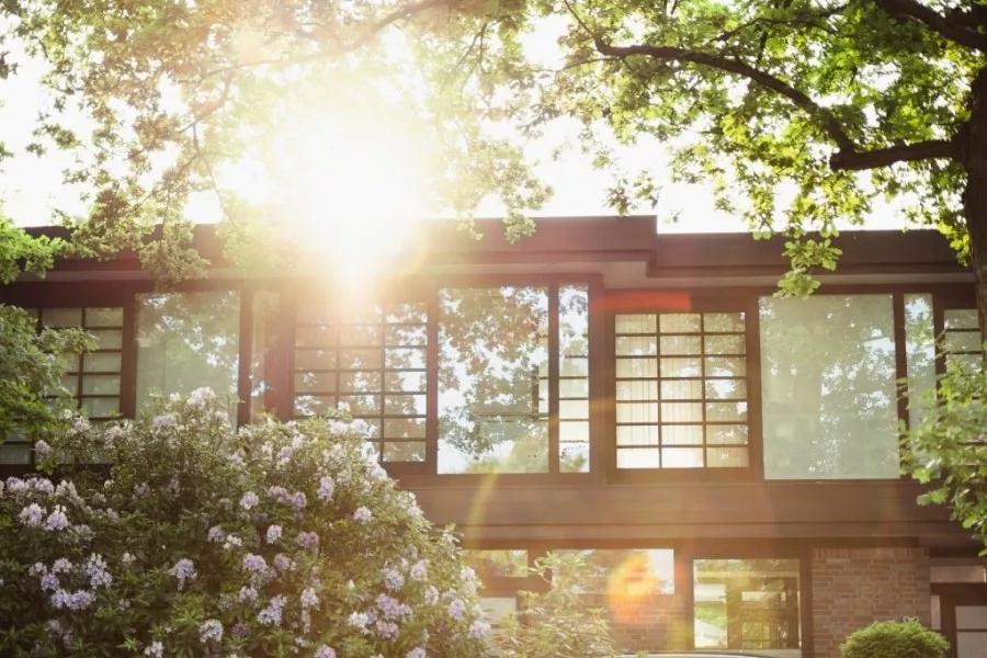 百乐博集团倾力打造洛北千亩理想之境