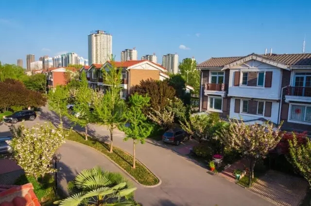 纸杯蛋糕 | 繁花五月，，，，，唯爱绵绵