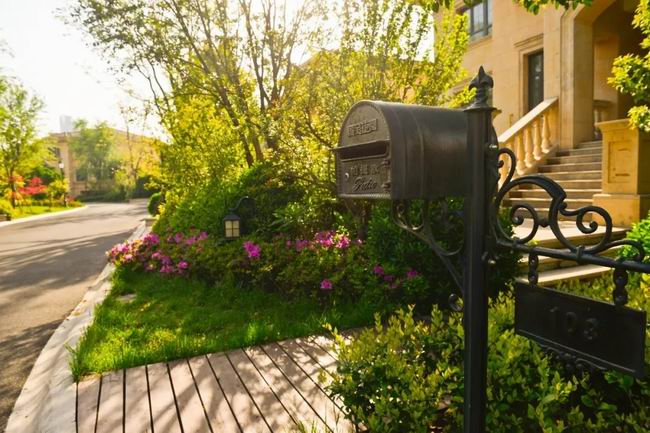 5月的国宝，，，，，，享受初夏的惬意时光